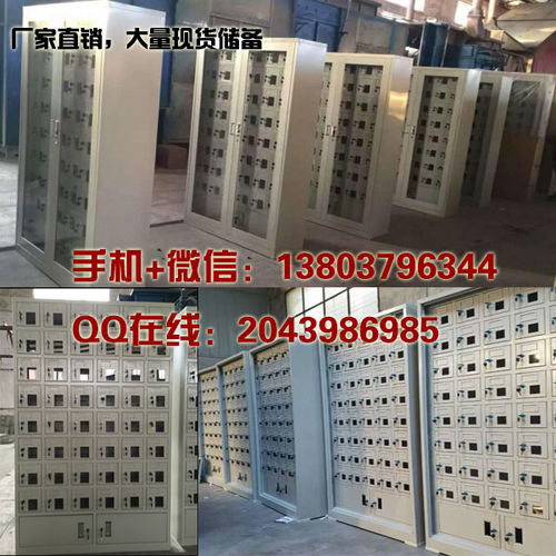 桑海經(jīng)濟(jì)技術(shù)開發(fā)區(qū)政府機(jī)關(guān)手機(jī)寄存柜廠家報(bào)價及上海軟件開發(fā)服務(wù)概述
